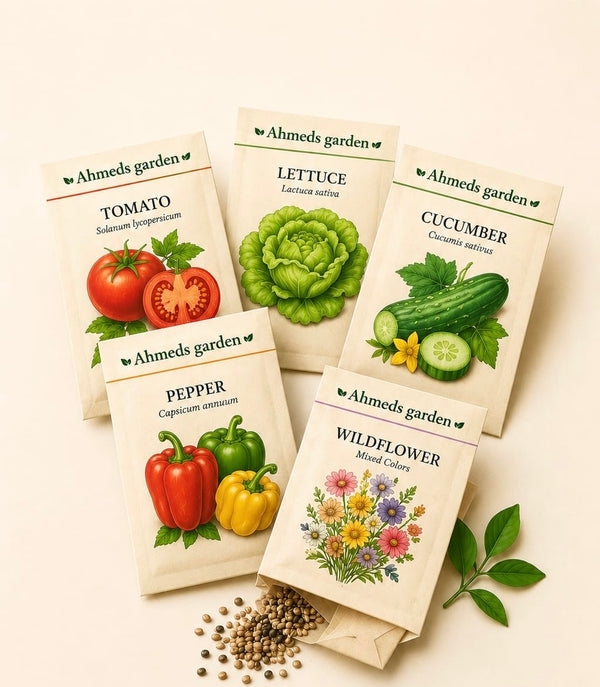 Seeds | البذور