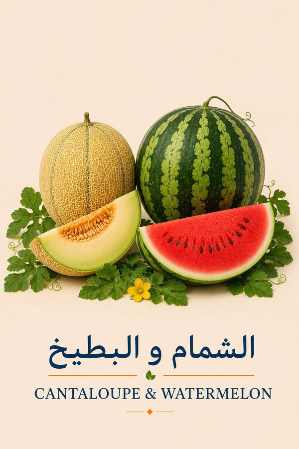 Melon & Watermelon Seedlings | شتلات الشمام والبطيخ