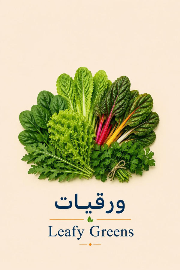 Herbs & Leafy Seedlings | شتلات الأعشاب والورقيات