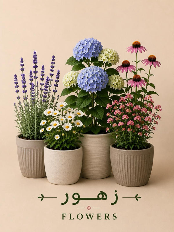 Flowers | الزهور