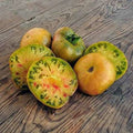 Ananas Noire | شتلة طماط
