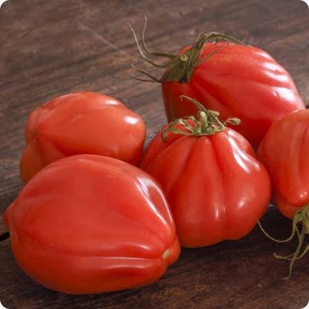 Pomodoro Cuor Di Bue | شتلة طماطم