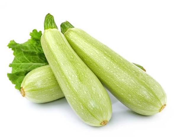 Gray Zucchini | شتلة كوسا