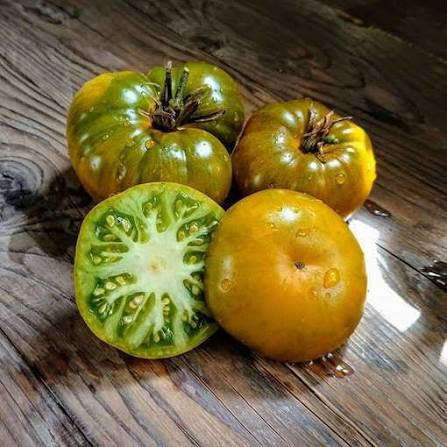 Emerald apple green | شتلة طماط