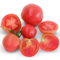 Raspberry Lyanna | شتلة طماط