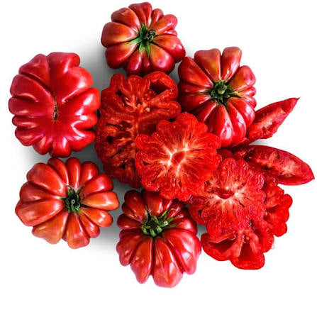 Mushroom Basket | شتلة طماط