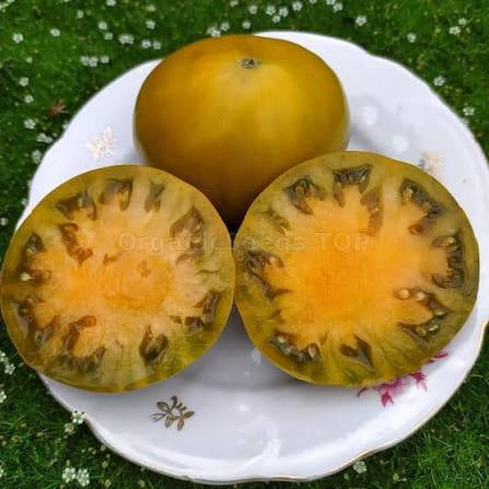 Elser Farm’s brown derby | شتلة طماط