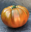 Elser Farm’s brown derby | شتلة طماط